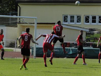 Foto des Albums: LSV - HSV