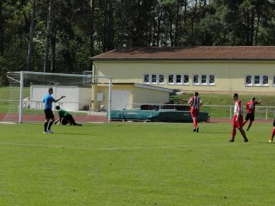 Foto des Albums: LSV - HSV