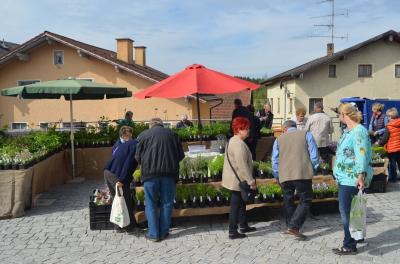 Foto des Albums: Maimarkt 2018