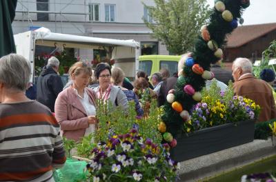 Foto des Albums: Maimarkt 2018