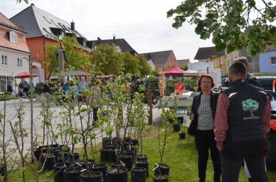 Foto des Albums: Maimarkt 2018