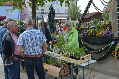 Foto des Albums: Maimarkt 2018