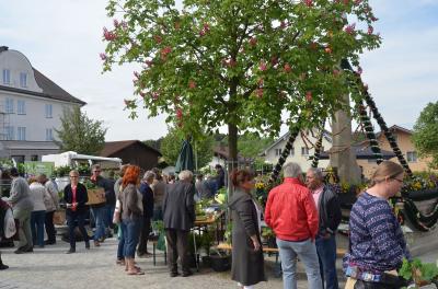 Foto des Albums: Maimarkt 2018