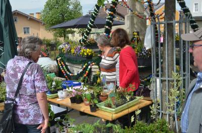 Foto des Albums: Maimarkt 2018