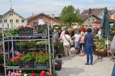 Foto des Albums: Maimarkt 2018