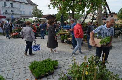 Foto des Albums: Maimarkt 2018