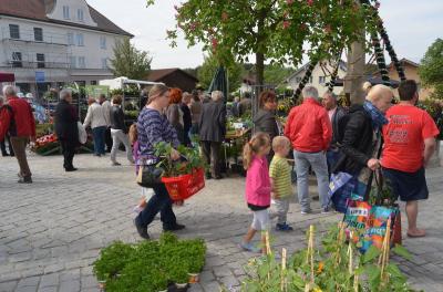 Foto des Albums: Maimarkt 2018