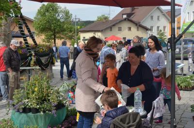 Foto des Albums: Maimarkt 2018