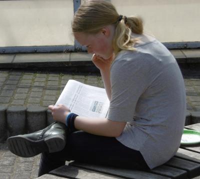 Foto des Albums: Streichertreffen in Lübz zum 20.Mal