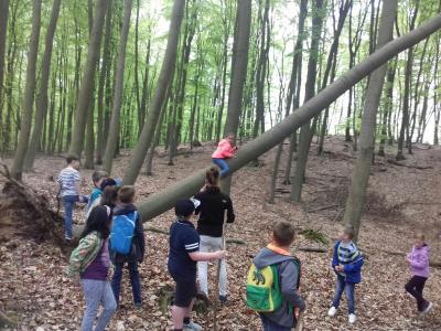 Foto des Albums: Wandertag Klasse 1d