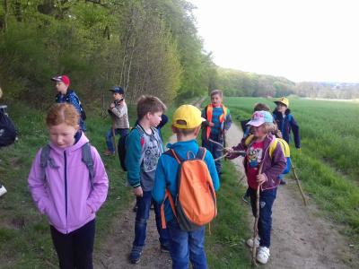 Foto des Albums: Wandertag Klasse 1d