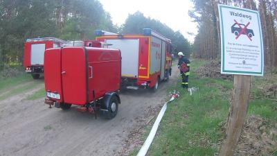 Foto des Albums: Gemeinsame Waldbrandübung der Feuerwehren aus dem Amtsbereich Meyenburg und Putlitz-Berge am 04.05.18 in Stepenitz (09. 05. 2018)