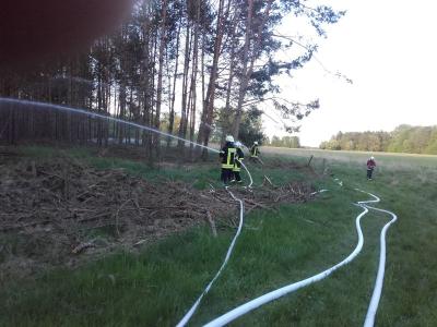 Foto des Albums: Gemeinsame Waldbrandübung der Feuerwehren aus dem Amtsbereich Meyenburg und Putlitz-Berge am 04.05.18 in Stepenitz (09. 05. 2018)