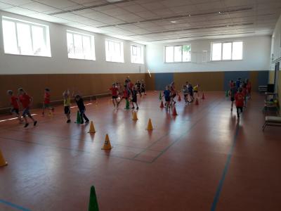 Foto des Albums: Training Laufgruppe