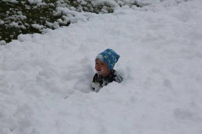 Foto des Albums: Maubaum aufstellen / Kinder- und Familienfest in Leezen