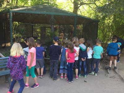 Foto des Albums: Wandertag der Klassen 1a & 1b in den Eilenburger Tierpark (17. 05. 2018)