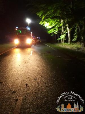 Foto des Albums: Einsatz 950-H-VU mit P-Dannenwalde Ortslage