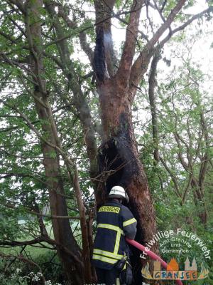 Foto des Albums: Einsatz 983-B-Klein-Meseberg Ri Großmutz-brennt Baum