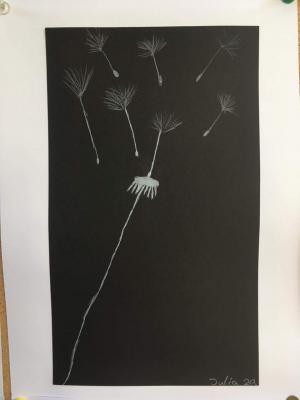 Foto des Albums: 2a Kunst