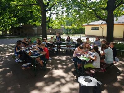 Foto des Albums: Grünes Klassenzimmer
