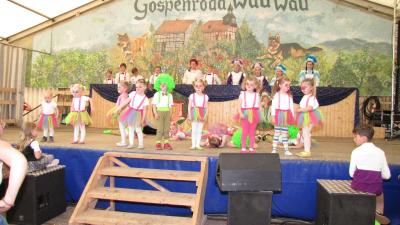 Foto des Albums: Kinderkarneval des GCV 2018 im Festzelt Teil I (29. 04. 2018)