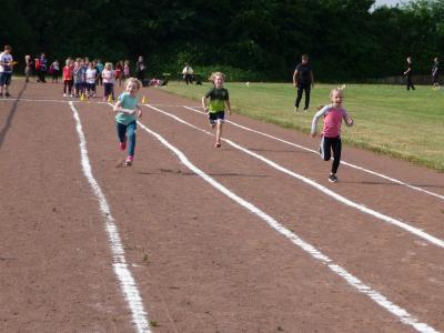 Foto des Albums: Sportfest