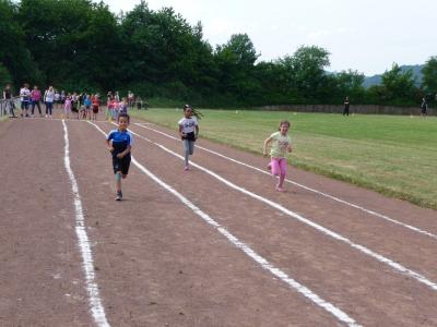 Foto des Albums: Sportfest