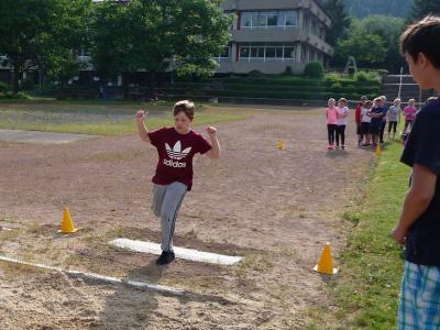 Foto des Albums: Sportfest