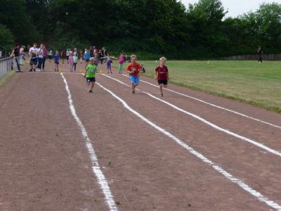 Foto des Albums: Sportfest