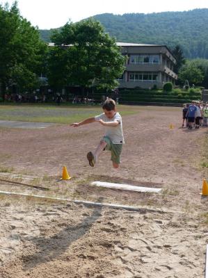 Foto des Albums: Sportfest