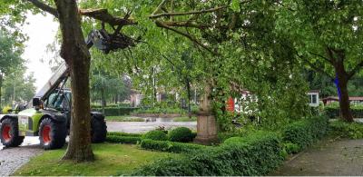 Foto des Albums: Baum_Strasse mit DLK 29.5.