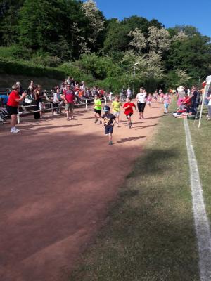 Foto des Albums: Sponsorenlauf des Fördervereins 2018