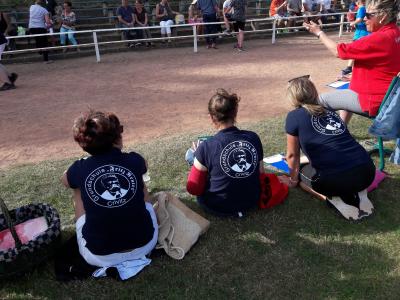 Foto des Albums: Sponsorenlauf des Fördervereins 2018