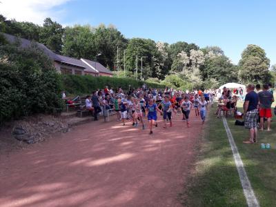 Foto des Albums: Sponsorenlauf des Fördervereins 2018