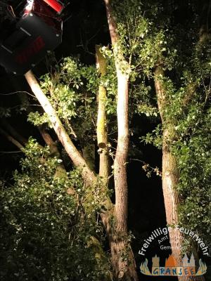 Foto des Albums: Einsatz 1132-H-Klein-OV Grs.-Kraatz
