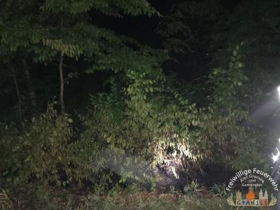 Foto des Albums: Einsatz 1135-B-Klein-L 15 OV Neuglobsow-Abzw. Altglobsow