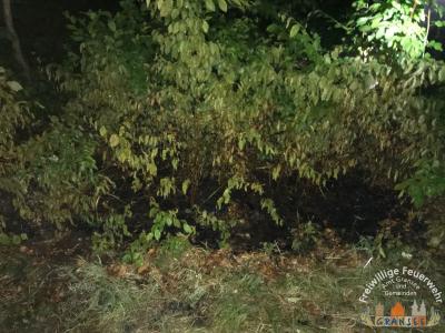 Foto des Albums: Einsatz 1135-B-Klein-L 15 OV Neuglobsow-Abzw. Altglobsow