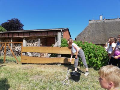 Foto des Albums: Waldolympiade 2018