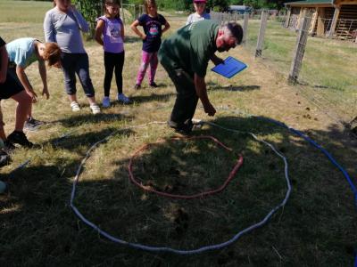 Foto des Albums: Waldolympiade 2018