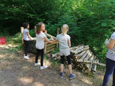 Foto des Albums: Waldolympiade 2018