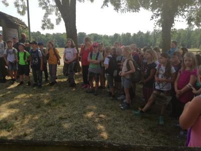 Foto des Albums: Waldolympiade 2018