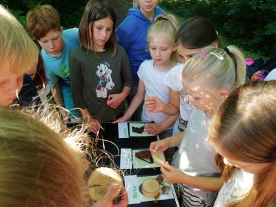 Foto des Albums: Waldolympiade 2018