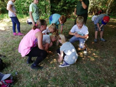 Foto des Albums: Waldolympiade 2018