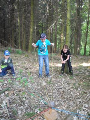 Foto des Albums: Waldjugendspiele Klasse 3