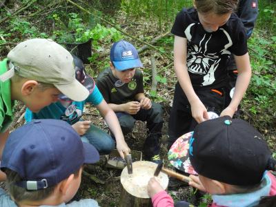 Foto des Albums: Waldjugendspiele Klasse 3