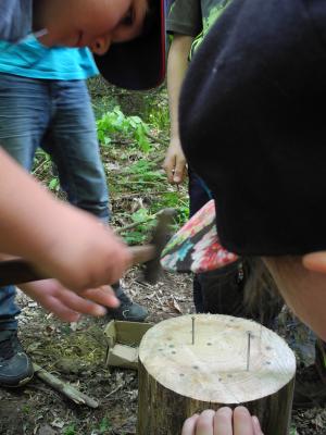 Foto des Albums: Waldjugendspiele Klasse 3