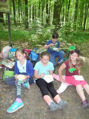 Foto des Albums: Waldjugendspiele Klasse 3