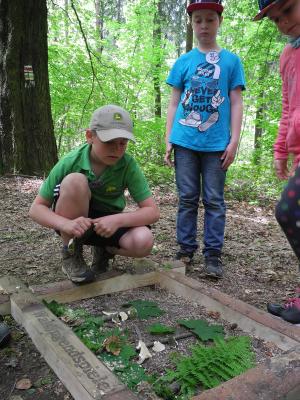 Foto des Albums: Waldjugendspiele Klasse 3