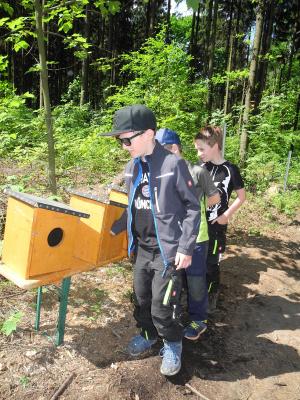 Foto des Albums: Waldjugendspiele Klasse 3