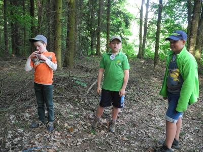 Foto des Albums: Waldjugendspiele Klasse 3